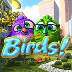 Birds Birds