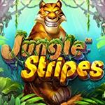 Jungle Stripes Jungle Stripes