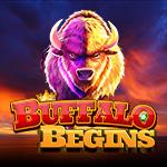 Buffalo Begins Buffalo Begins