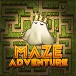 Maze Adventure Maze Adventure