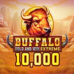 Buffalo Hold And Win Extreme 10000 Buffalo Hold And Win Extreme 10000