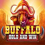 Buffalo Hold And Win Buffalo Hold And Win