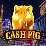 Cash Pig Cash Pig