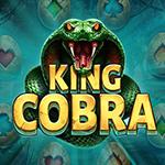 King Cobra King Cobra
