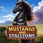Mustang and Stallions Mustang and Stallions
