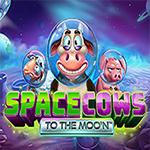 Space Cows To The Moon Space Cows To The Moon