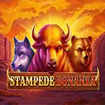 Stampede Bonanza Stampede Bonanza