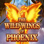 The Wild Wings Of Phoenix The Wild Wings Of Phoenix