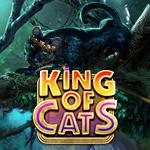 King of Cats King of Cats