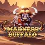 Madness Buffalo Madness Buffalo