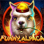 Funny Alpaca Funny Alpaca