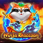 Ninja Raccoon Ninja Raccoon