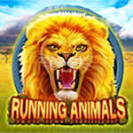 Running Animals Running Animals