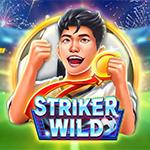 Striker WILD Striker WILD