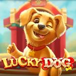 Lucky Dog Lucky Dog