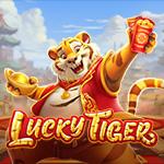 Lucky Tiger Lucky Tiger