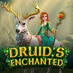 Druid`s Enchanted Druid`s Enchanted