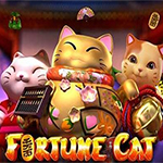 Fortune Cat Fortune Cat