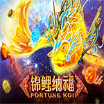 Fortune Koi Fortune Koi