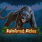 Rainforest Riches Rainforest Riches
