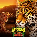 African Wild African Wild