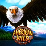 American Wild American Wild