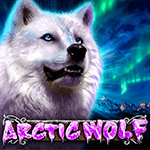 Arctic Wolf Arctic Wolf