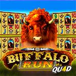 Buffalo Run Quad Buffalo Run Quad