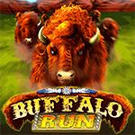 Buffalo Run Buffalo Run