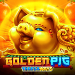 Golden Pig GMW Golden Pig GMW