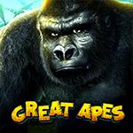 Great Apes Great Apes