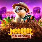Meerkat The Explorer Meerkat The Explorer