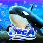 Orca Orca