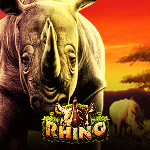 Rhino Rhino