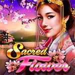 Sacred Flower Sacred Flower