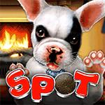 Spot Spot