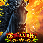 Stallion Stallion