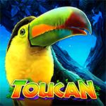 Toucan Toucan