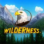 Wilderness Wilderness