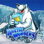 Arctic Wonders Arctic Wonders