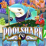 Pool Shark Pool Shark