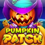 Pumpkin Patch Pumpkin Patch