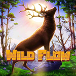 Wild Flow Wild Flow
