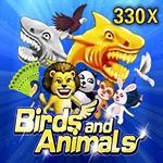 Birds And Animals Birds And Animals