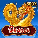 Dragon Dragon