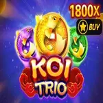 Koi Trio Koi Trio