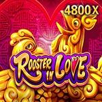 Rooster In Love Rooster In Love