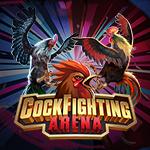 Cockfighting Arena KM Cockfighting Arena KM