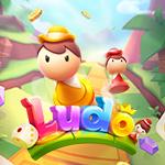 Ludo KM Ludo KM