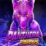 Panthera Pardus Panthera Pardus
